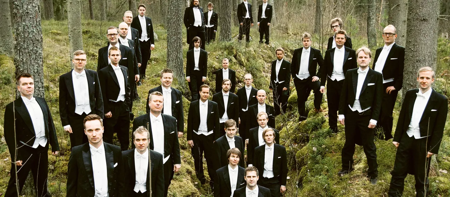 Männerchor YL Male Choir in schwarzem Smoking und weißem Hemd steht verteilt im Wald zwischen Bäumen und Moos