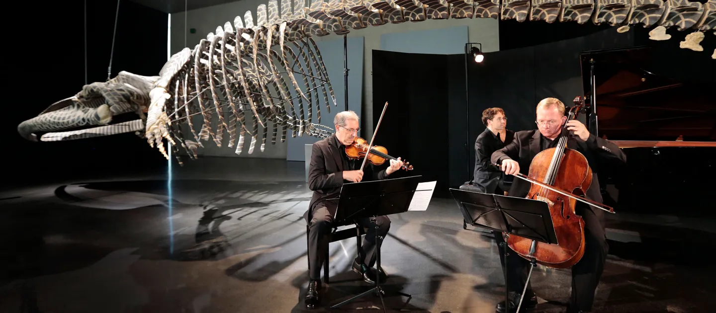 Szene aus "KAZ - Konzert", 2013 im Kunsthaus Bregenz, drei Musiker:innen an Geige, Cello und Klavier, über ihnen ein großes hängendes Skelett eines Meeressauriers