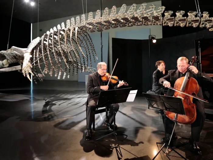 Szene aus "KAZ - Konzert", 2013 im Kunsthaus Bregenz, drei Musiker:innen an Geige, Cello und Klavier, über ihnen ein großes hängendes Skelett eines Meeressauriers