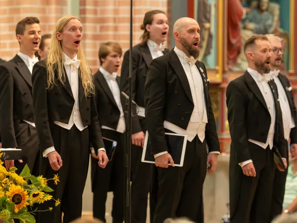 Sechs Männer in formeller Abendgarderobe stehen in einer Reihe. Einige tragen Fliegen, andere Krawatten. Im Vordergrund sind gelbe Sonnenblumen zu sehen.