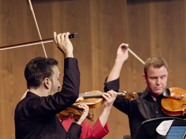 Drei Musiker spielen im Ensemble. Zwei halten Geigen, einer mit einem Bogen, der andere mit einem Notenblatt. Der dritte Musiker hebt einen Bogen.
