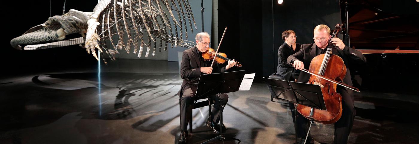 © Bregenzer Festspiele / Anja Köhler Kunst aus der Zeit Konzert - KUB - Bregenzer Festspiele - MusikerInnen mit Tierskelett im Hintergrund